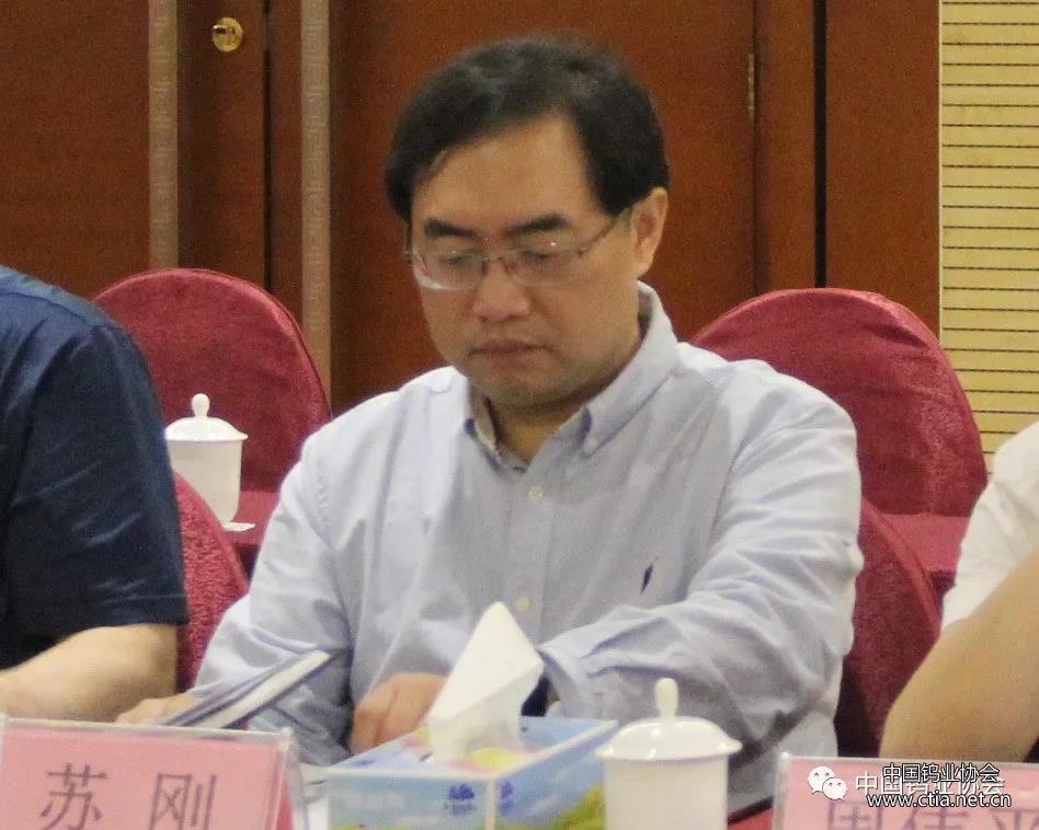 中国钨业协会秘书长、主席团主席苏刚