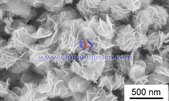 过渡金属二硫化钼钨纳米片